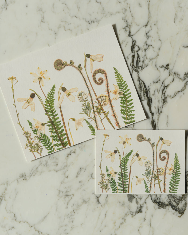 Birthday Meadows - Art Print of Pressed Flowers