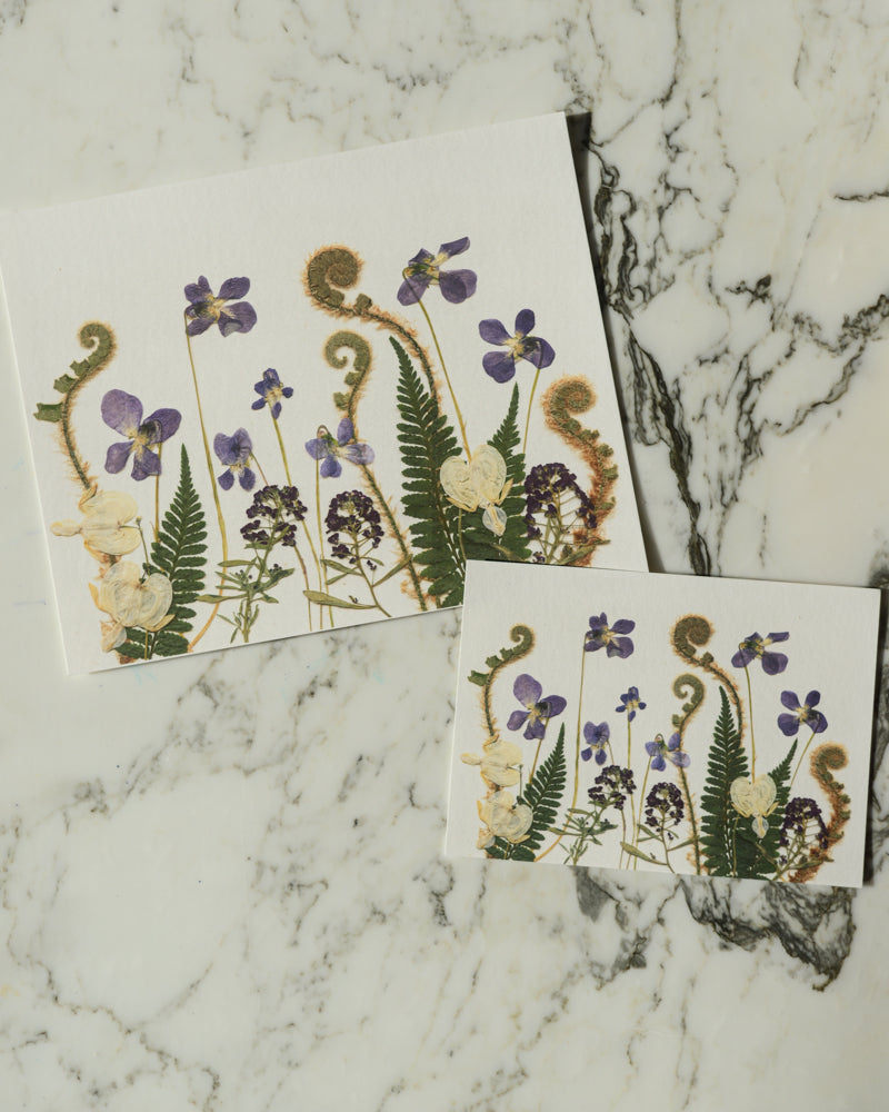 Birthday Meadows - Art Print of Pressed Flowers