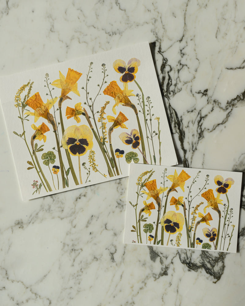 Birthday Meadows - Art Print of Pressed Flowers