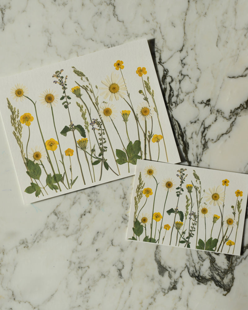 Birthday Meadows - Art Print of Pressed Flowers