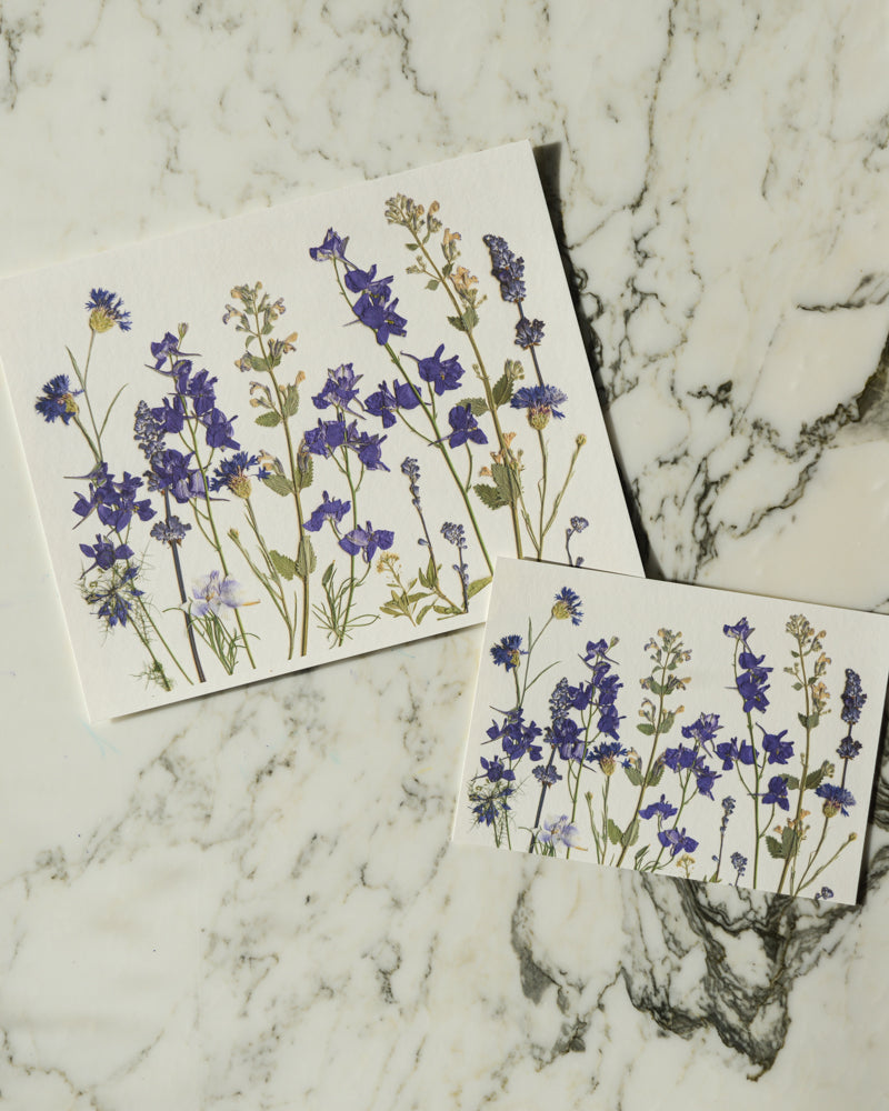 Birthday Meadows - Art Print of Pressed Flowers