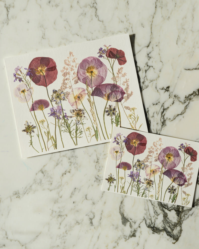 Birthday Meadows - Art Print of Pressed Flowers