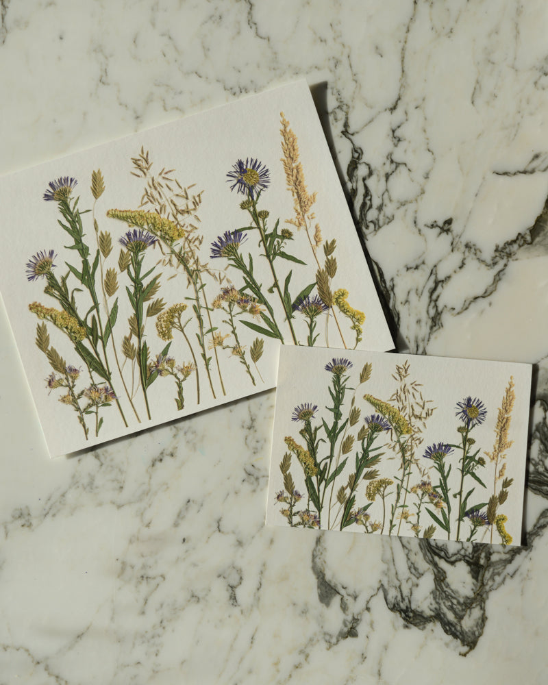 Birthday Meadows - Art Print of Pressed Flowers