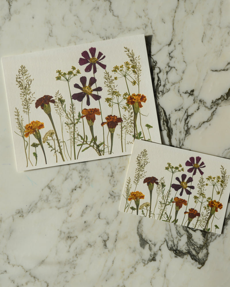 Birthday Meadows - Art Print of Pressed Flowers