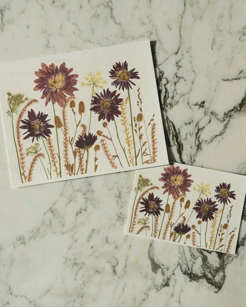 Birthday Meadows - Art Print of Pressed Flowers