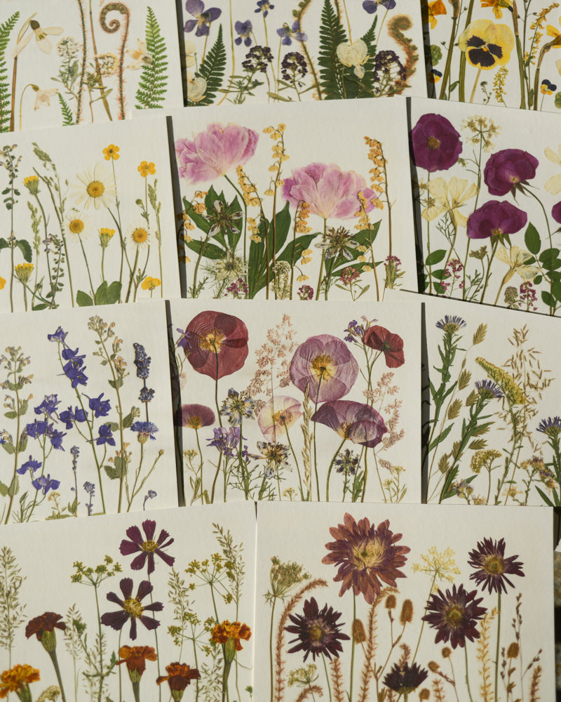 Birthday Meadows - Art Print of Pressed Flowers