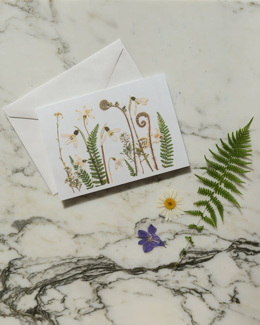 The Birthday Meadows Collection - Individual Blank Greeting Card