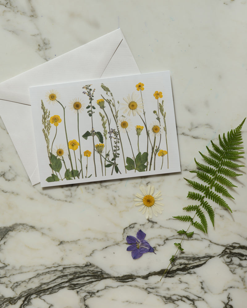 The Birthday Meadows Collection - Individual Blank Greeting Card