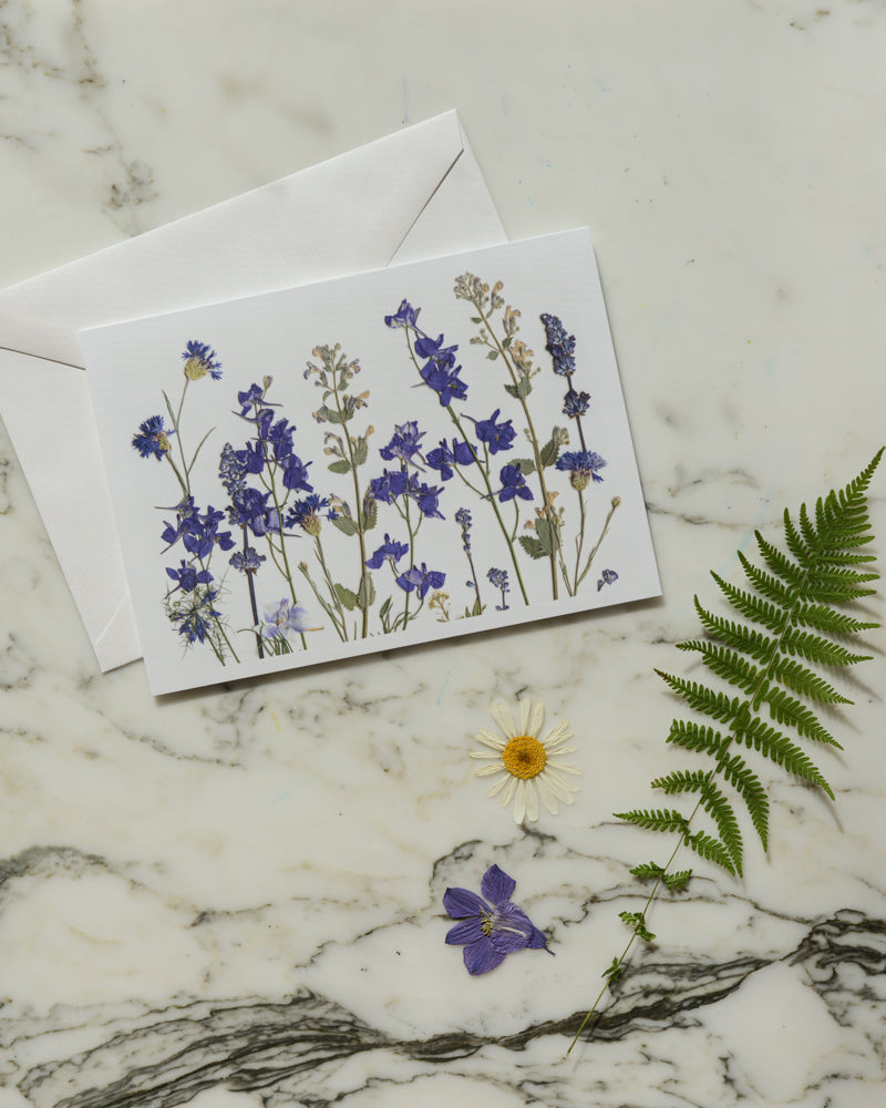 The Birthday Meadows Collection - Individual Blank Greeting Card