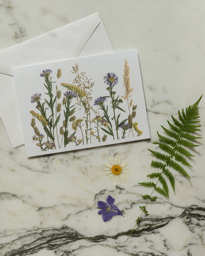 The Birthday Meadows Collection - Individual Blank Greeting Card