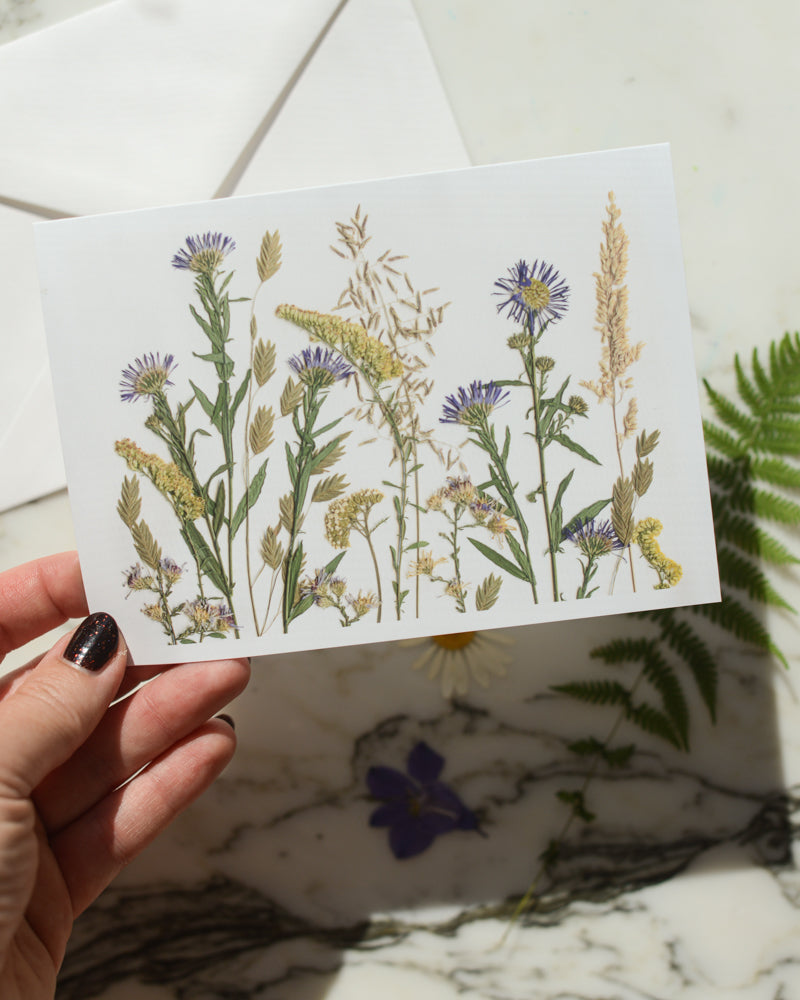 The Birthday Meadows Collection - Set of Blank Greeting Cards