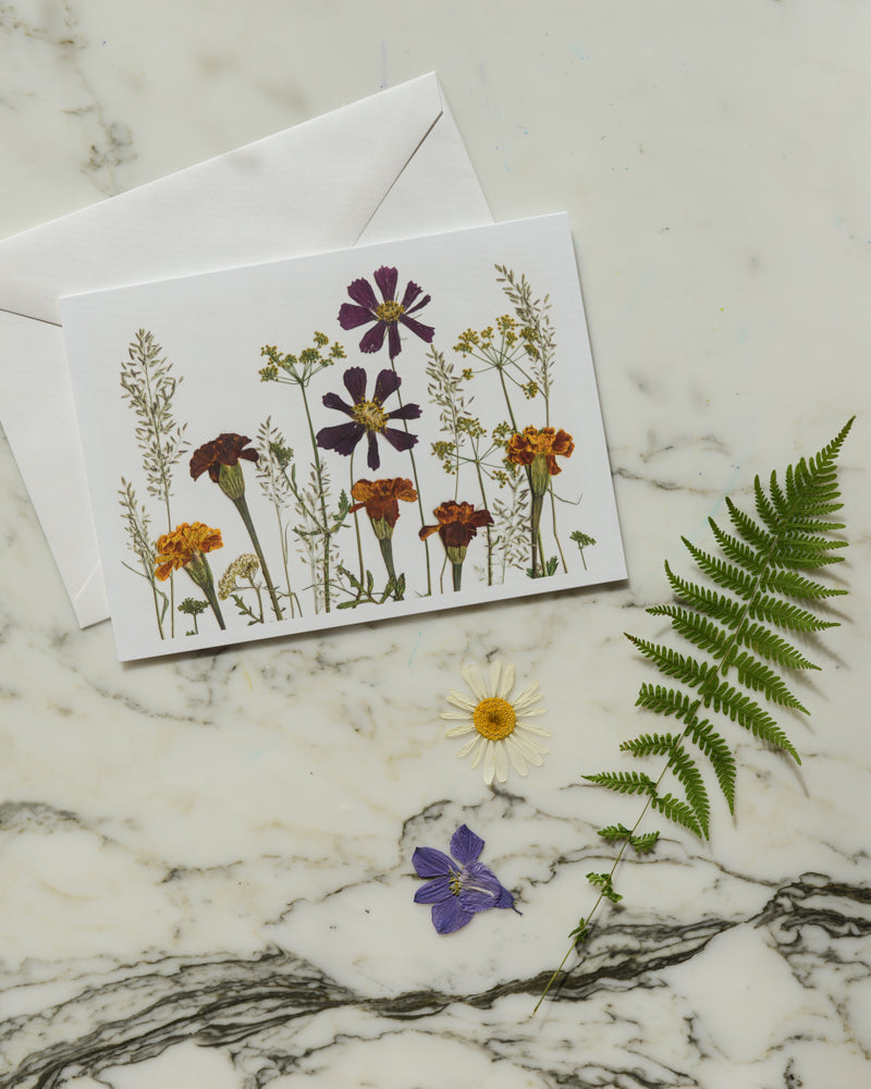 The Birthday Meadows Collection - Individual Blank Greeting Card