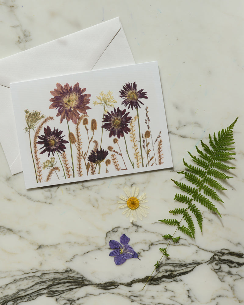 The Birthday Meadows Collection - Set of Blank Greeting Cards