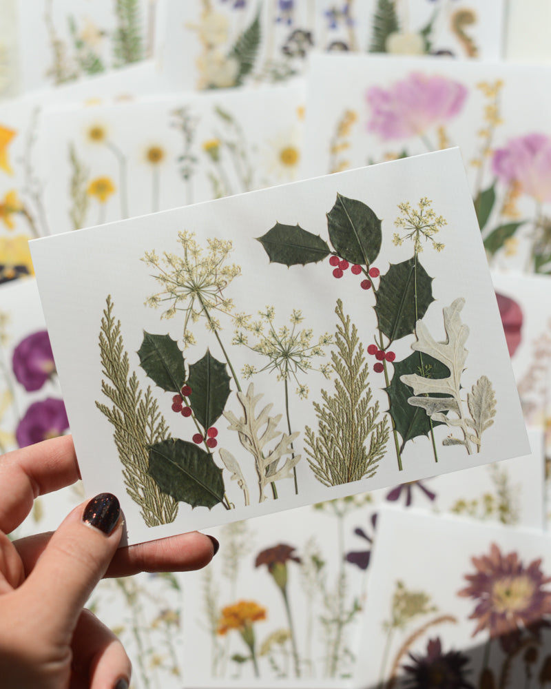 The Birthday Meadows Collection - Set of Blank Greeting Cards
