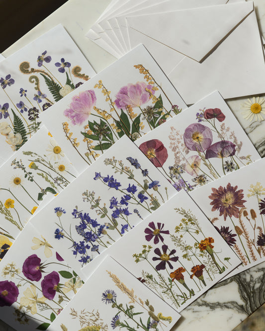 The Birthday Meadows Collection - Set of Blank Greeting Cards