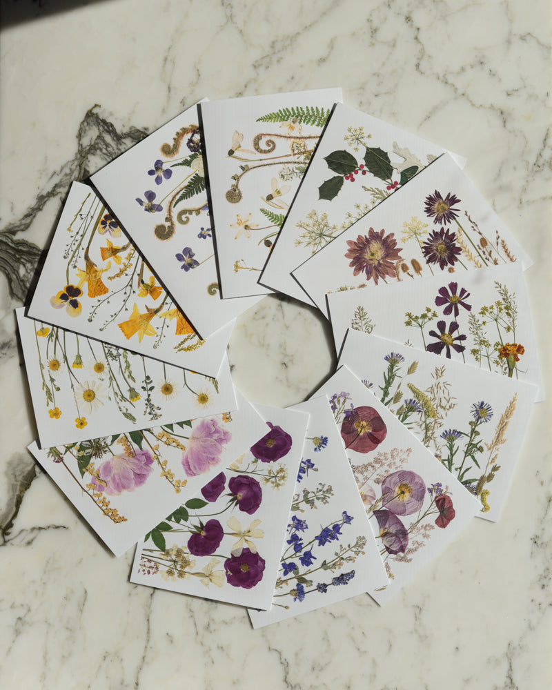 The Birthday Meadows Collection - Set of Blank Greeting Cards