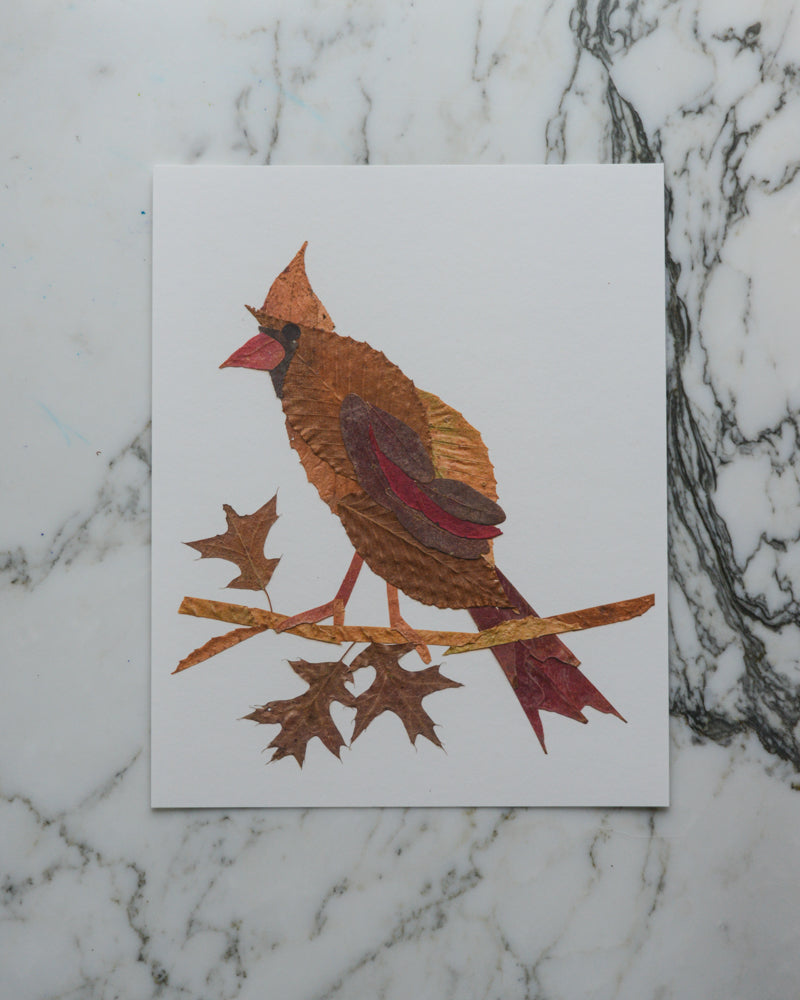 Snow Birds - Art Print of Pressed Flowers