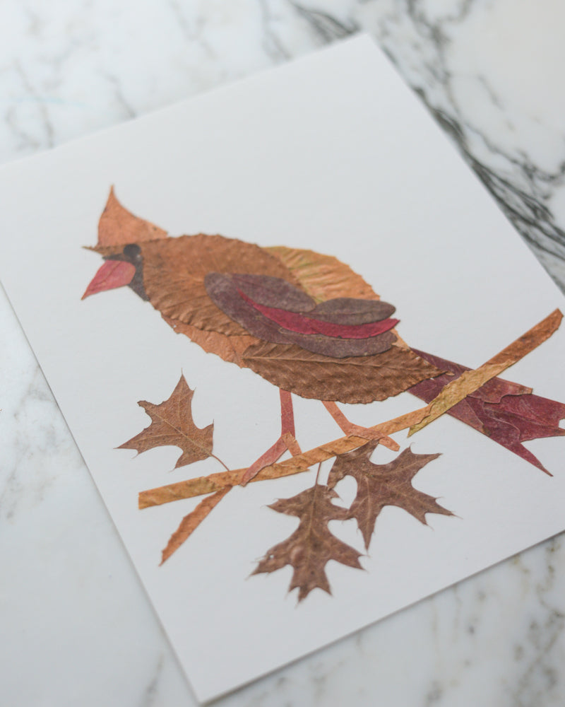 Snow Birds - Art Print of Pressed Flowers