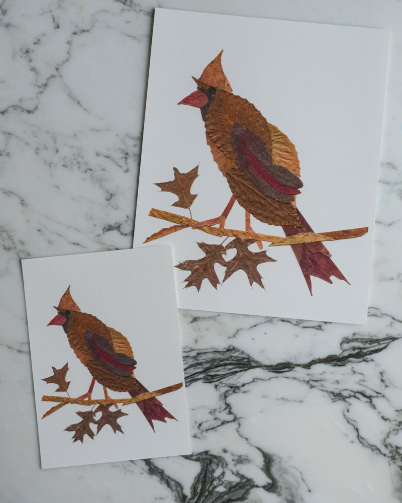 Snow Birds - Art Print of Pressed Flowers