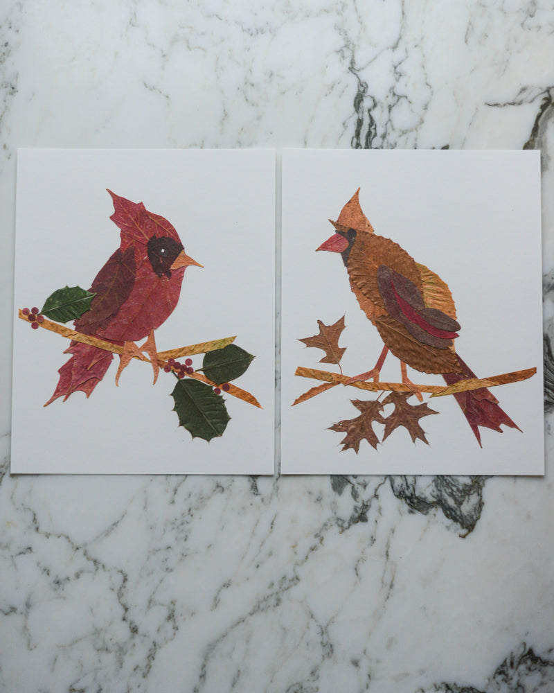 Snow Birds - Art Print of Pressed Flowers
