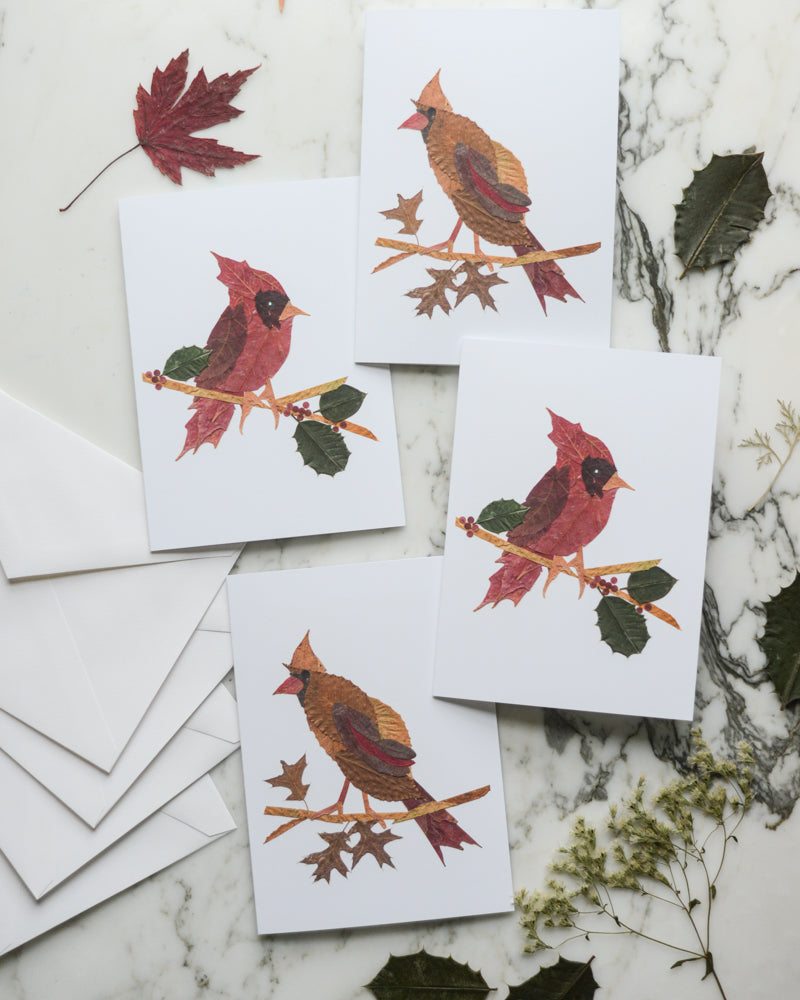 Snow Birds, Set of Blank Holiday Greeting Cards 2026