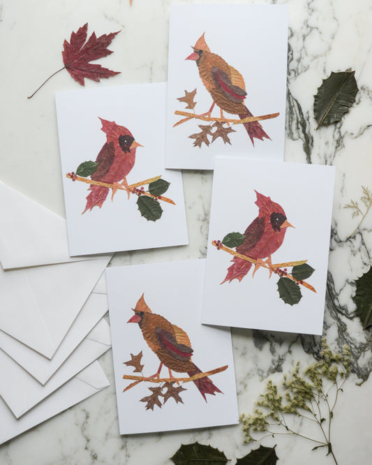 Snow Birds, Set of Blank Holiday Greeting Cards 2026