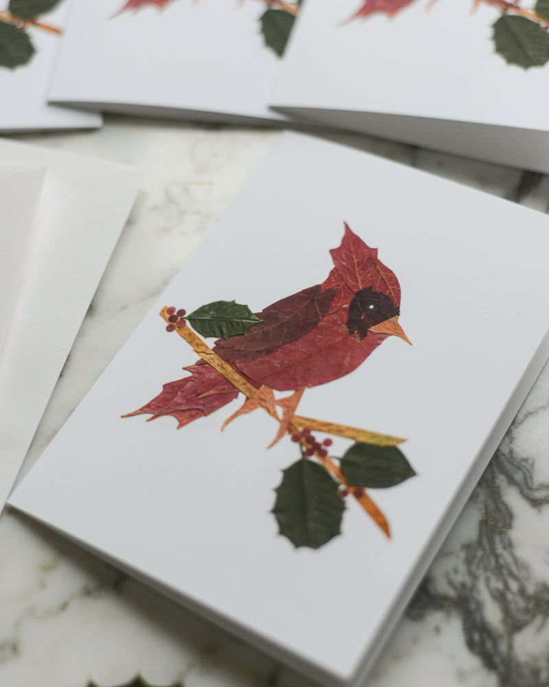 Snow Birds, Set of Blank Holiday Greeting Cards 2026