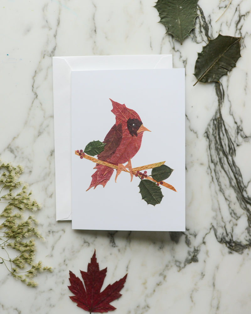 Snow Birds, Set of Blank Holiday Greeting Cards 2026