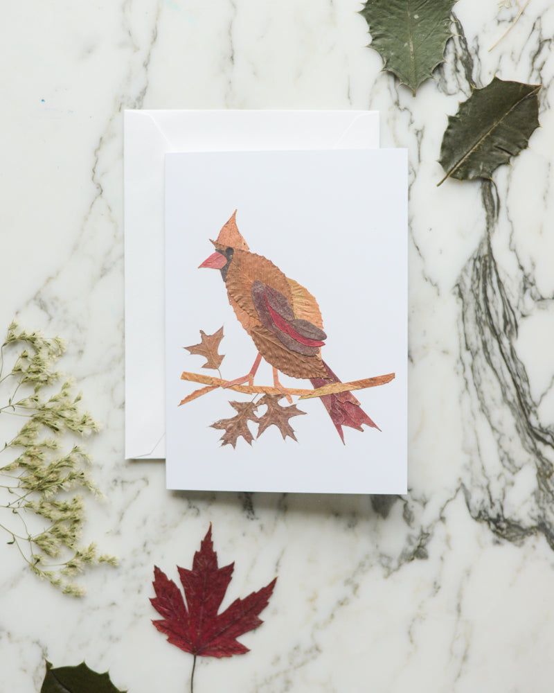 Snow Birds, Set of Blank Holiday Greeting Cards 2026