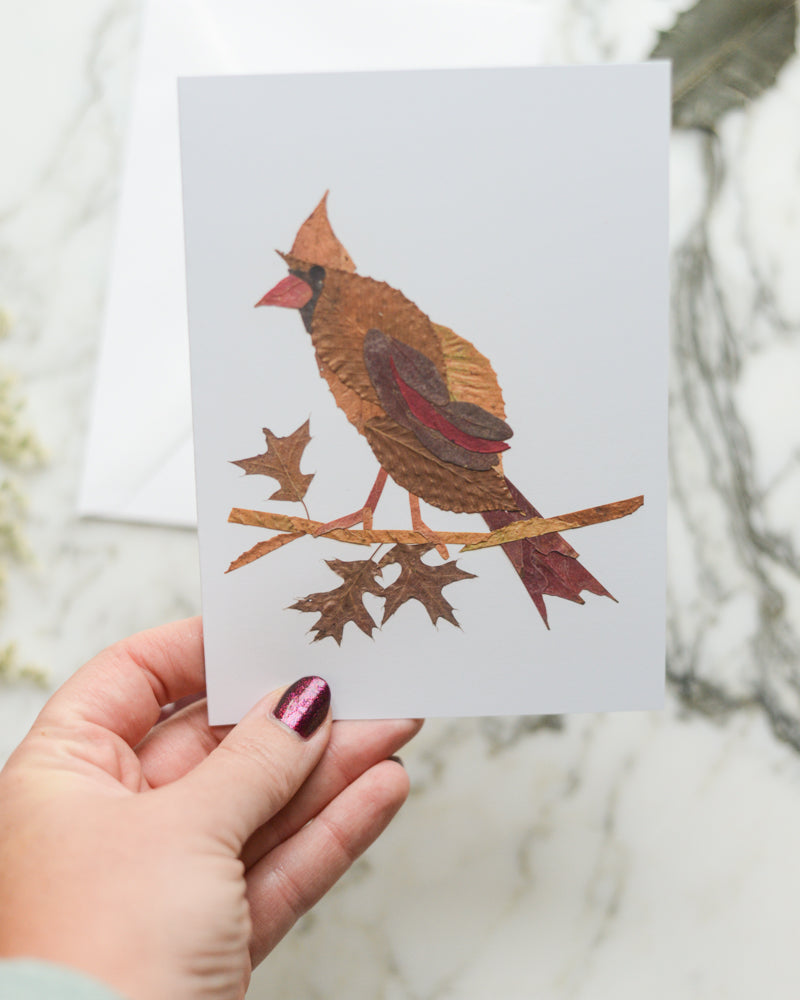 Snow Bird, Individual Blank Holiday Greeting Card 2026
