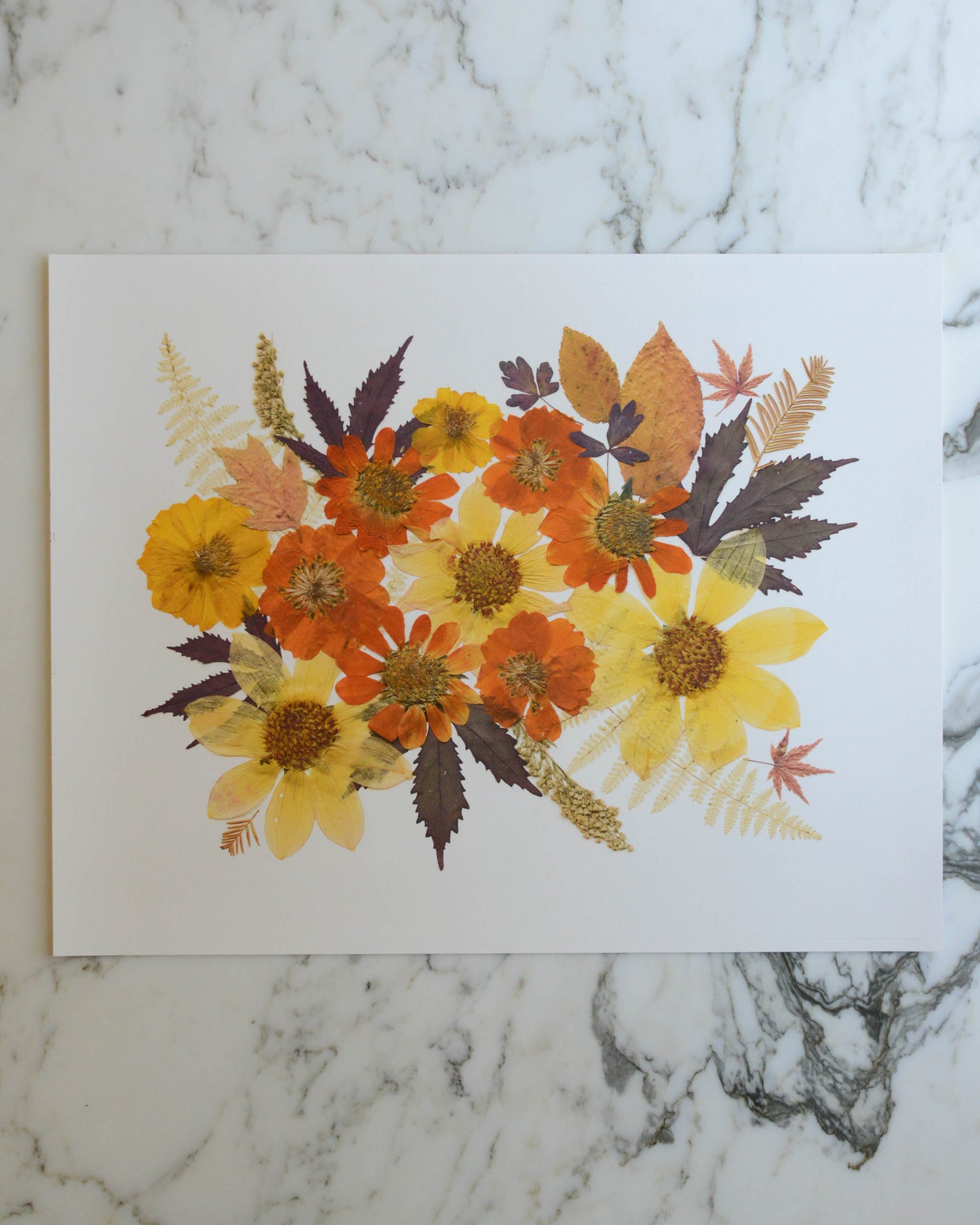 Four Seasons Bouquets - Art Print of Pressed Flowers