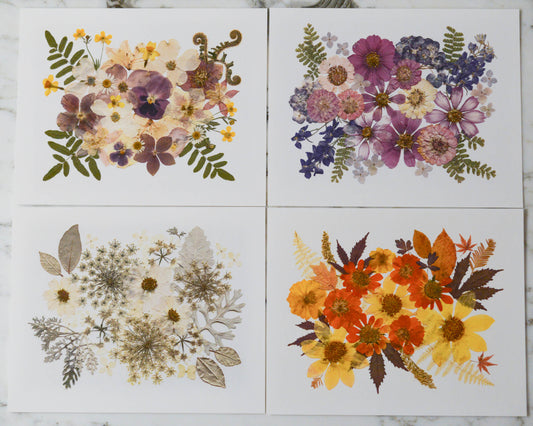 Four Seasons Bouquets - Art Print of Pressed Flowers