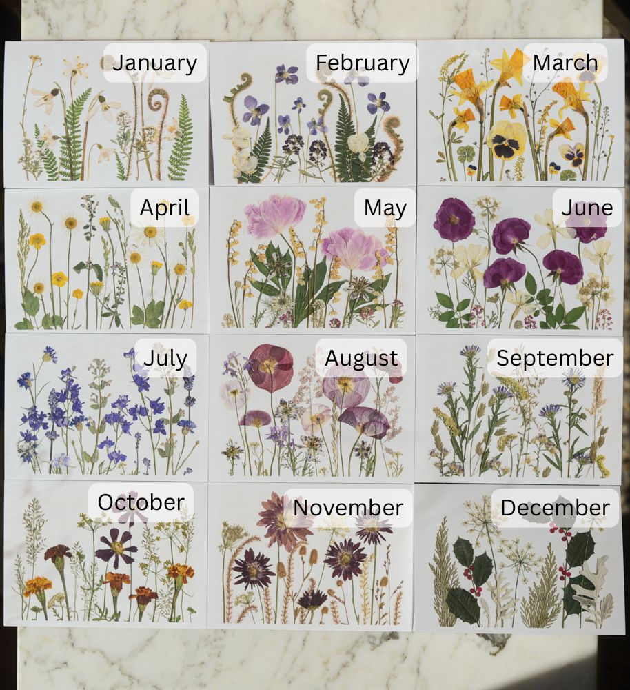 The Birthday Meadows Collection - Set of Blank Greeting Cards