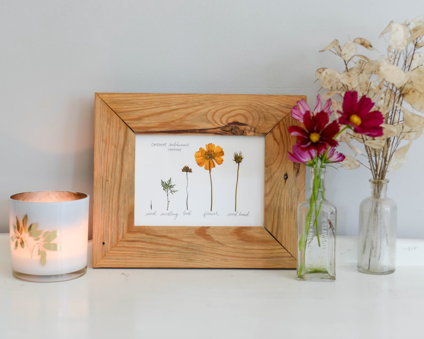 Lifecycle Collection - Art Print of Pressed Flowers