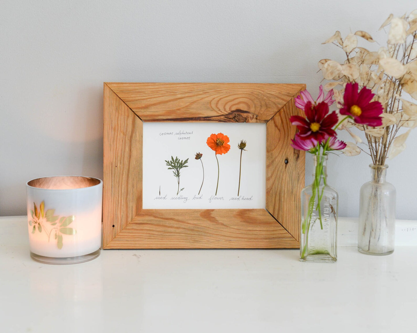 Lifecycle Collection - Art Print of Pressed Flowers